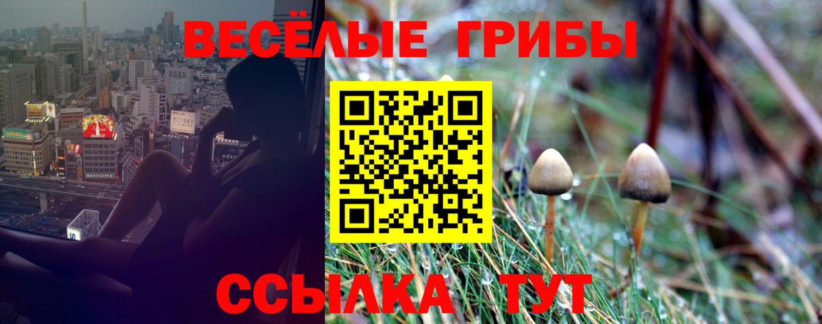 Псилоцибиновые грибы Magic Shrooms  Вход с VPN  Галлюциногенные грибы Psilocybine cubensis  Сыктывкар 